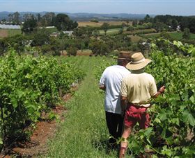 Sir Paz Estate - Accommodation Bookings 0