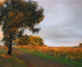 Sir Paz Estate - Accommodation Bookings 3