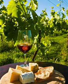 King River Estate - Accommodation Bookings 3