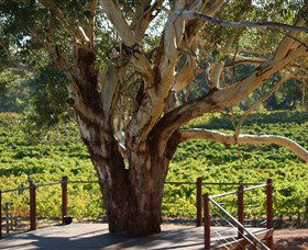 Upper Reach Winery And Cellar Door - Accommodation Bookings 1