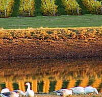 Pipers Brook Vineyard