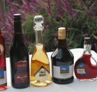 Hartzview Vineyard Heritage Pickers Hut Village - Accommodation Bookings
