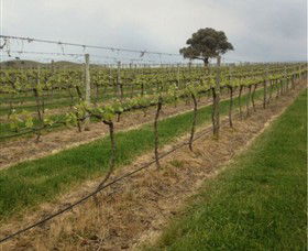 Indigo Vineyard - Accommodation Bookings 1