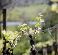 Barrgowan Vineyard - Accommodation Bookings