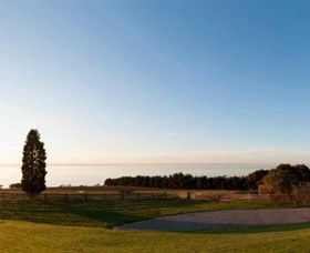 Jack Rabbit Vineyard - Accommodation Bookings 3
