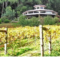 Peveril Vineyard/Beechy Berries - Accommodation Bookings