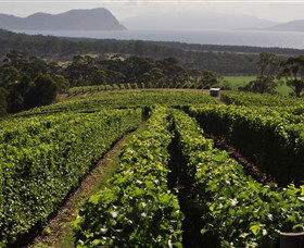 Bream Creek TAS Accommodation Bookings
