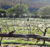 Three Willows Vineyard - Accommodation Bookings