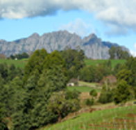 Lake Barrington Vineyard - Accommodation Bookings