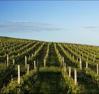 Delamere Vineyard - Accommodation Bookings