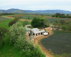 Schmidts Strawberry Winery - Accommodation Bookings 0