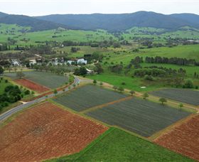 Schmidts Strawberry Winery - Accommodation Bookings 1