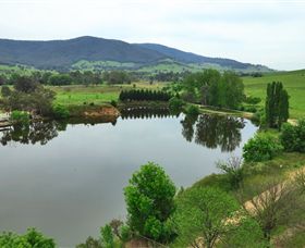 Schmidts Strawberry Winery - Accommodation Bookings 2