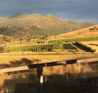 Optimiste Wines - Accommodation Bookings