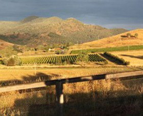 Optimiste Wines - Accommodation Bookings 0