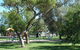 Inglewood Apex-Lions Park - thumb 2