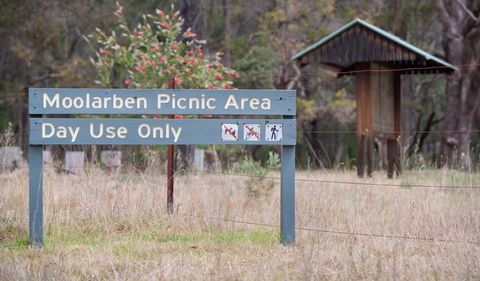 Moolarben Picnic Area - Accommodation Bookings 1