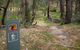 Moolarben Picnic Area - thumb 0