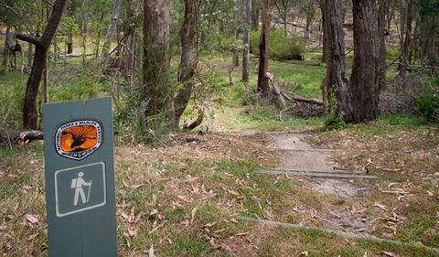 Moolarben Picnic Area - Accommodation Bookings 0