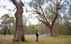 Moolarben Picnic Area - thumb 2