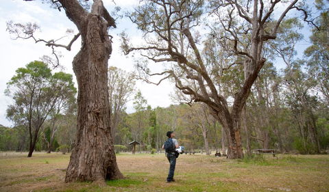 Moolarben Picnic Area - Accommodation Bookings 2