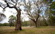 Munghorn Gap Nature Reserve - thumb 3