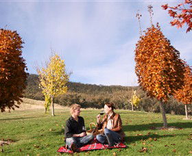 Gapsted Wines - Accommodation Bookings 5
