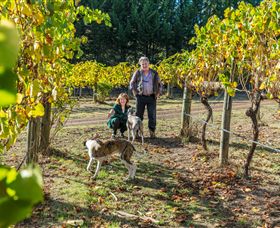 Crystal Creek VIC Accommodation Bookings