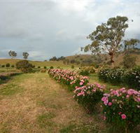 Damasque Rose Oil Farm - Accommodation Bookings