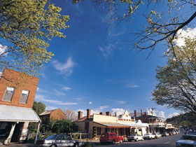 Drysdale Cheeses - Accommodation Bookings 1