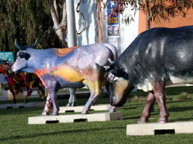 Drysdale Cheeses - Accommodation Bookings 6