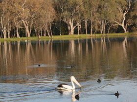Drysdale Cheeses - Accommodation Bookings 7