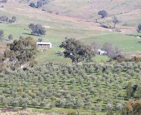 Wymah Organic Olives And Lambs - Accommodation Bookings 0