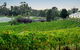 Kellybrook Winery, Kelly Brothers Cider & Riders Brew Co. - thumb 1