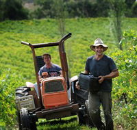 Kellybrook Winery Kelly Brothers Cider  Riders Brew Co. - Accommodation Bookings