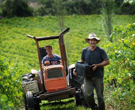 Kellybrook Winery, Kelly Brothers Cider & Riders Brew Co. - Accommodation Bookings 0