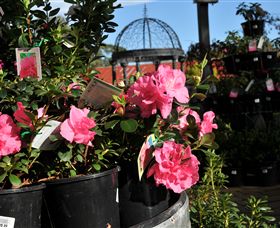 Van Loon's Nursery - Accommodation Bookings 1