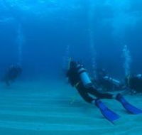 Man and Wife Rocks Dive Site - Accommodation Bookings