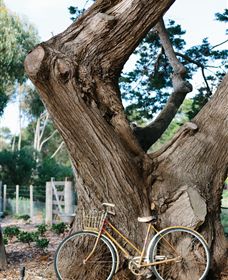 Kiltynane Wines - Accommodation Bookings 8