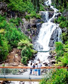 Steavenson Falls Marysville - Accommodation Bookings 2