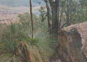 High Country VIC Accommodation Bookings