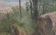Mount Lawson State Park - thumb 0