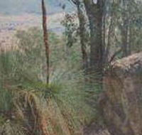 Mount Lawson State Park - Accommodation Bookings