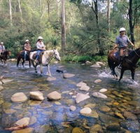 Howqua Hills Historic Area - Accommodation Bookings