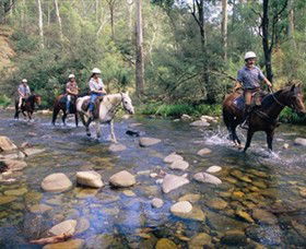 Howqua Hills Historic Area - Accommodation Bookings 0