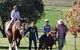 Bathurst Farm Experience - thumb 0
