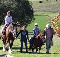 Bathurst Farm Experience - Accommodation Bookings
