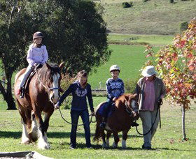 Bathurst Farm Experience - Accommodation Bookings 0