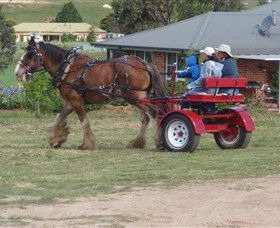 Bathurst Farm Experience - Accommodation Bookings 3