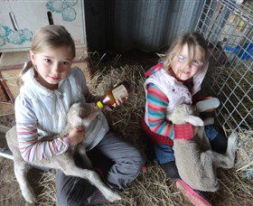 Bathurst Farm Experience - Accommodation Bookings 4